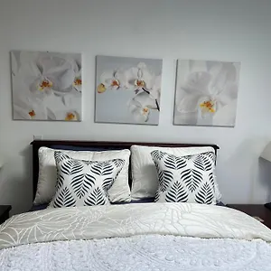 Bed & Breakfast Armand Heights